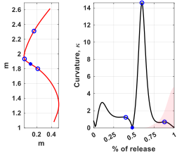Ball path of an elite shooter